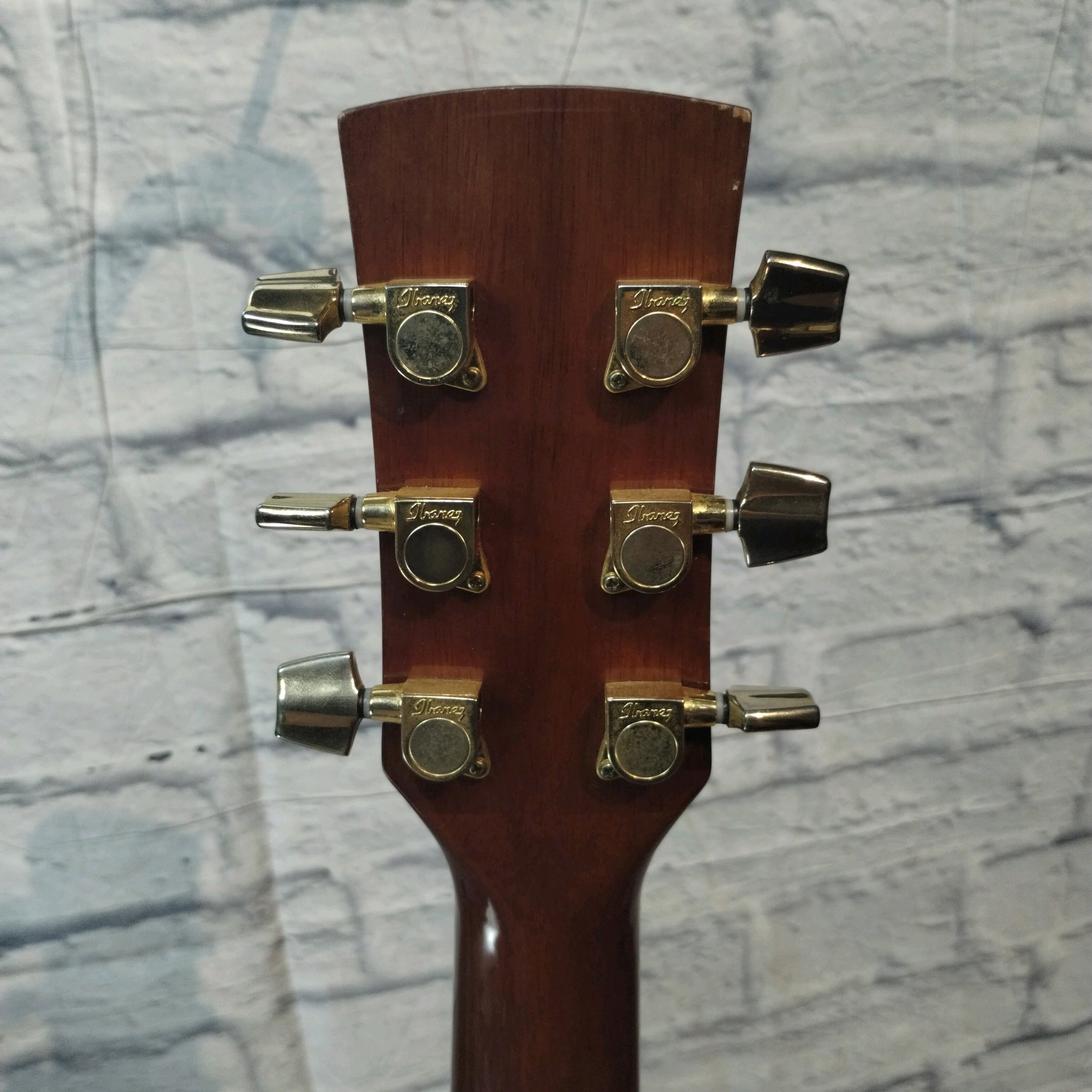 Ibanez PF5ece Acoustic Electric Guitar