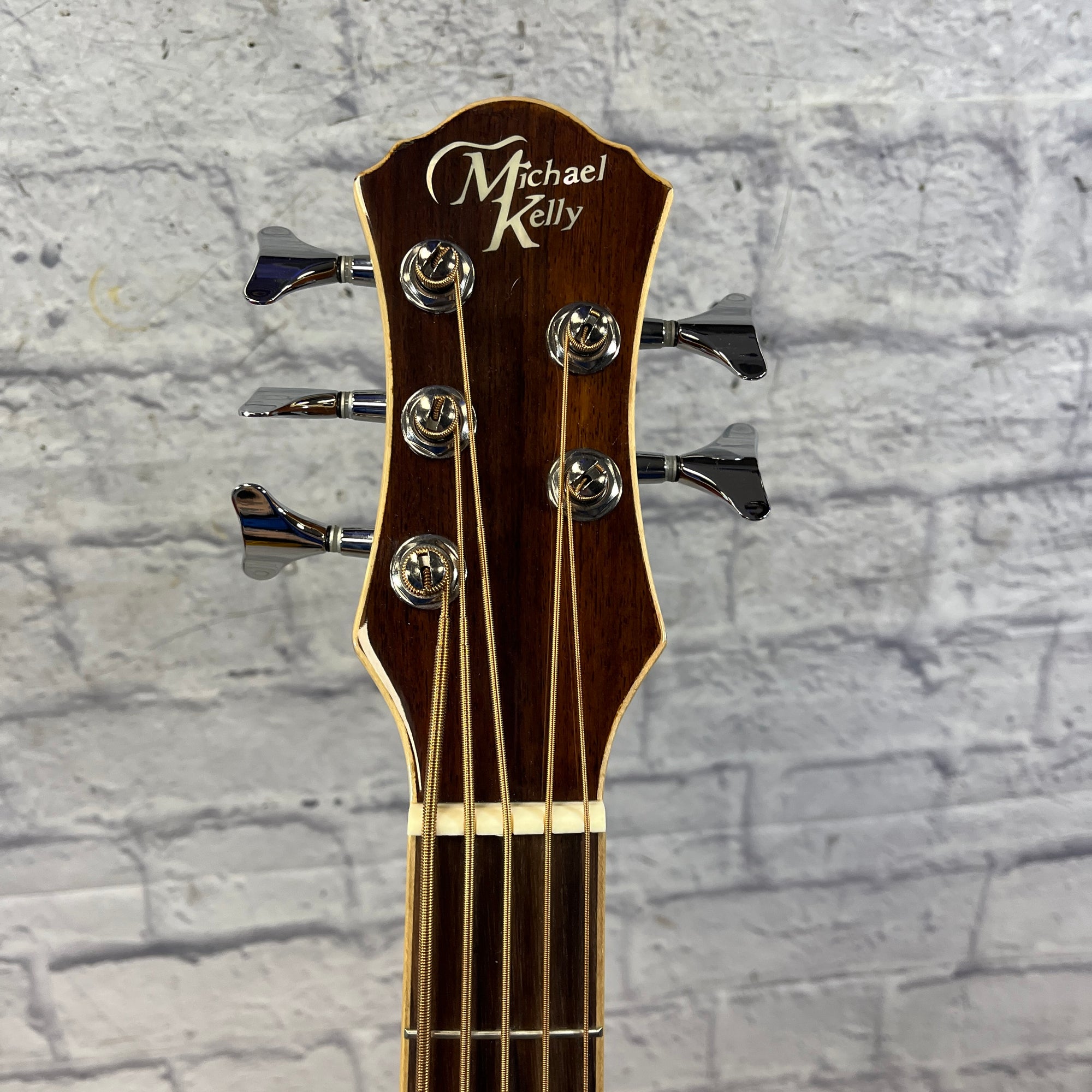 Michael Kelly MKCC5N 5 String Acoustic Bass with Hard Case