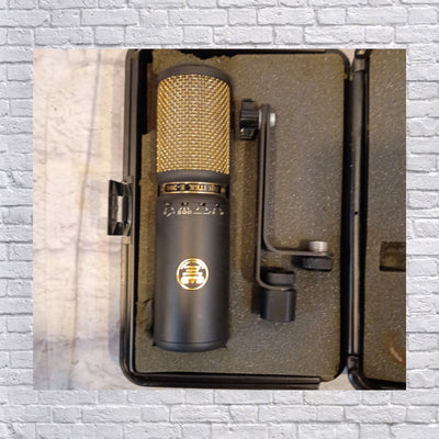 CAD Equitek E-200 Microphone wth Case Microphone
