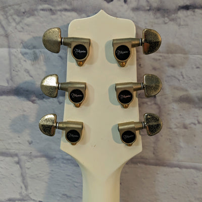 Takamine EF25S Split Top Acoustic Guitar