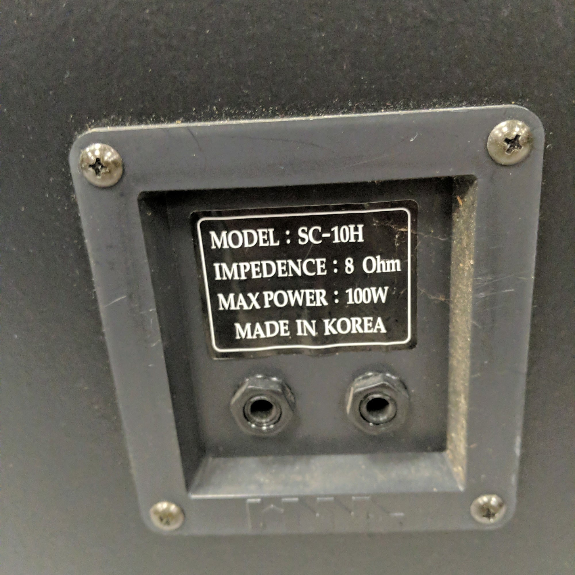 Rogue SC10H PAssive PA Speaker