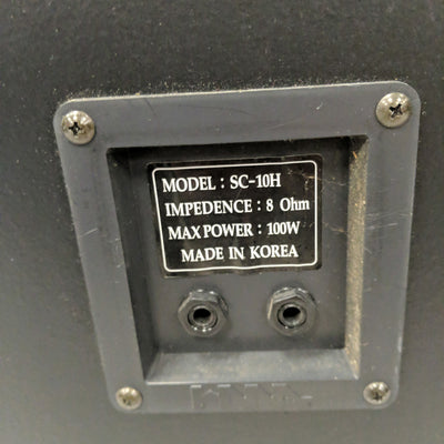 Rogue SC10H PAssive PA Speaker
