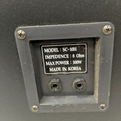 Rogue SC10H PAssive PA Speaker