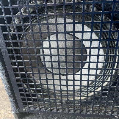 SWR 2x10C Bass Combo Amp