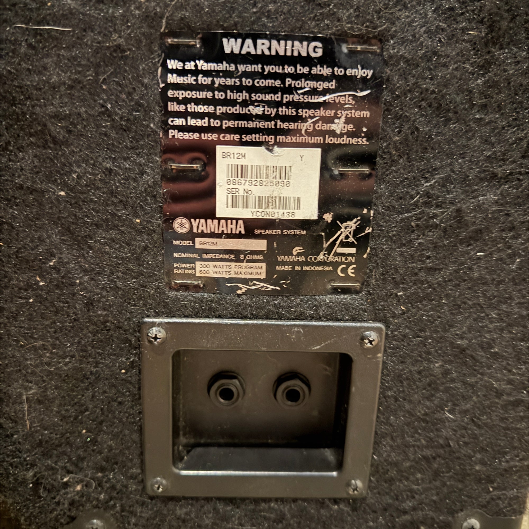 Yamaha BR12M Passive Speakers 1x (15 Wedge Size)