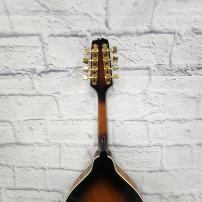 Gibson The Epiphone ElectroAcoustic Mandolin   Mandolin