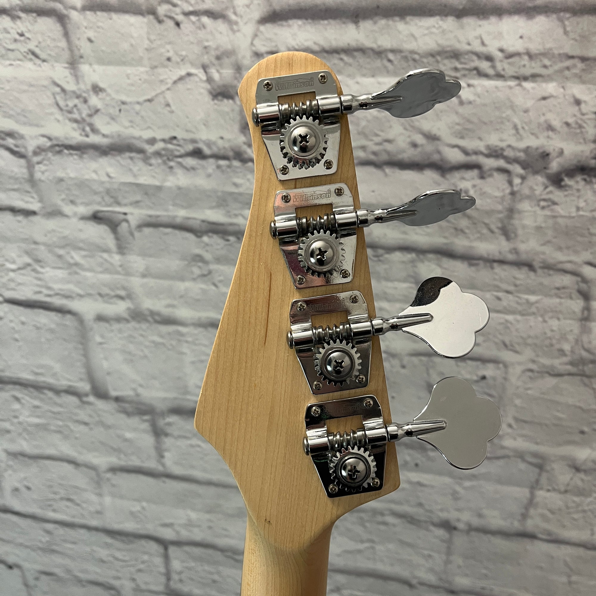 Sawtooth Mod24 Bass Guitar w/ Fishman Pickups