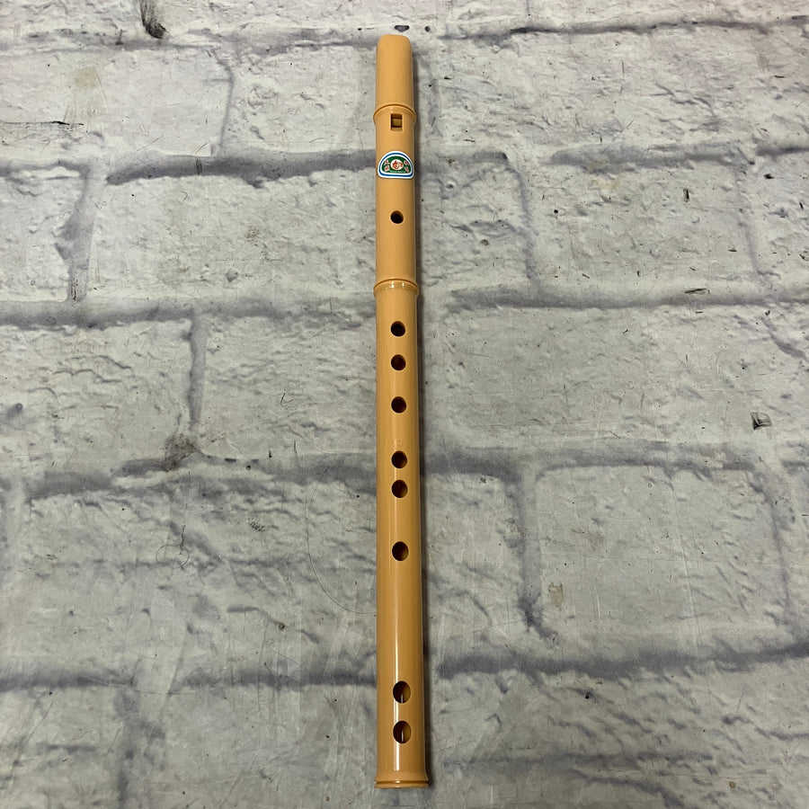 Unknown Classroom Recorder