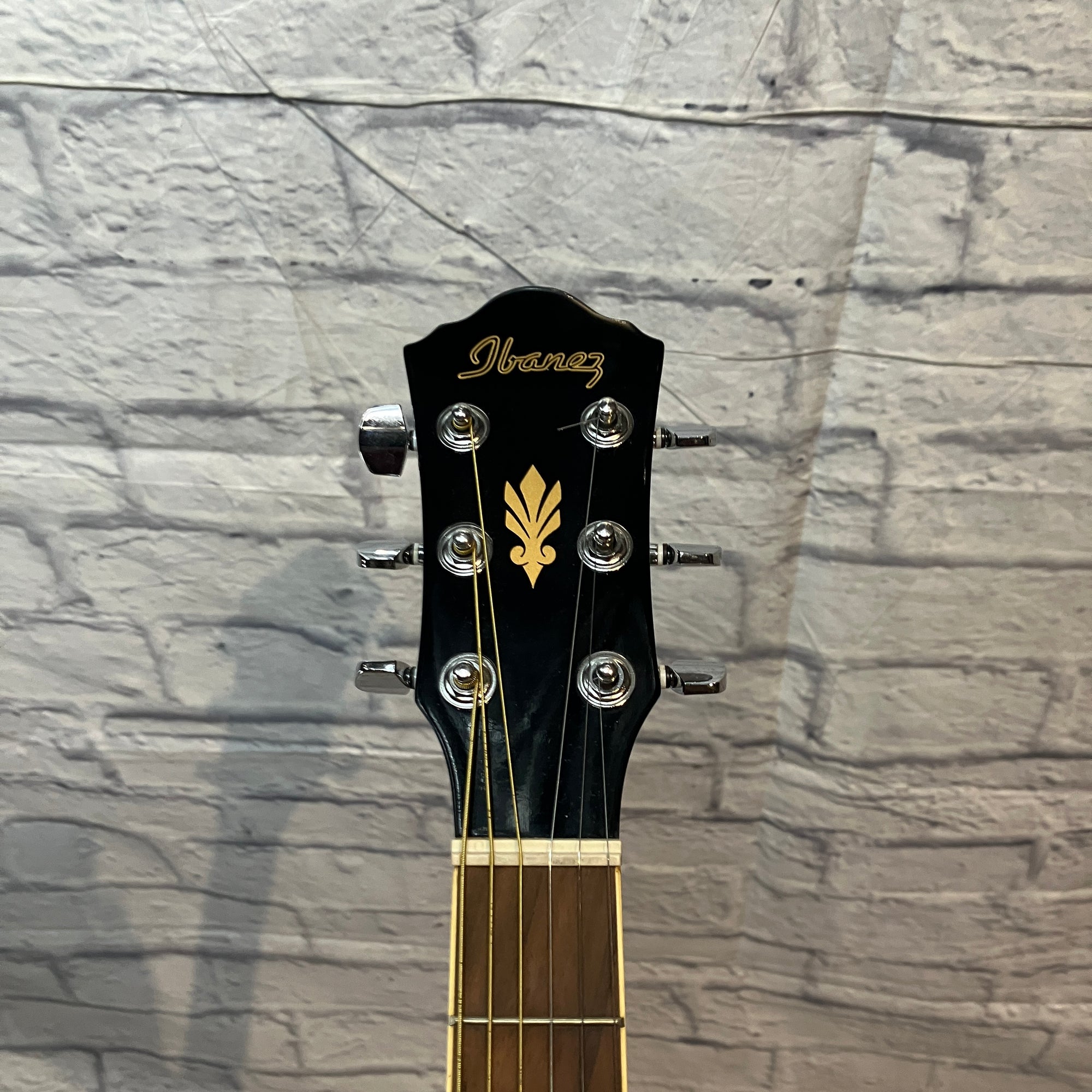 Ibanez AEG5 Thinline Acoustic Guitar Black
