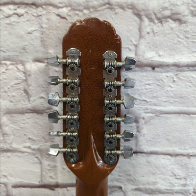 Vintage Applause AA15 12 String Acoustic Guitar