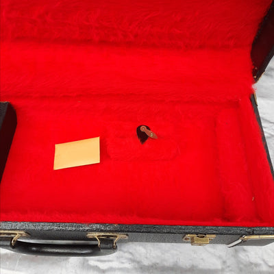 Cornet Case w/Red Interior 18" x 7"