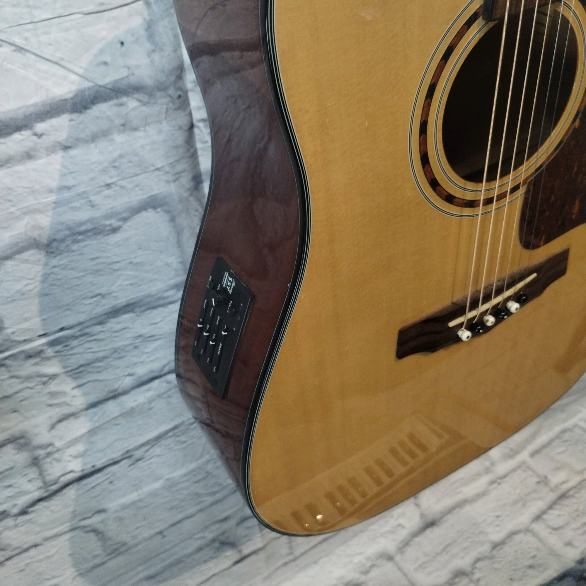 Ibanez PF5ece Acoustic Electric Guitar