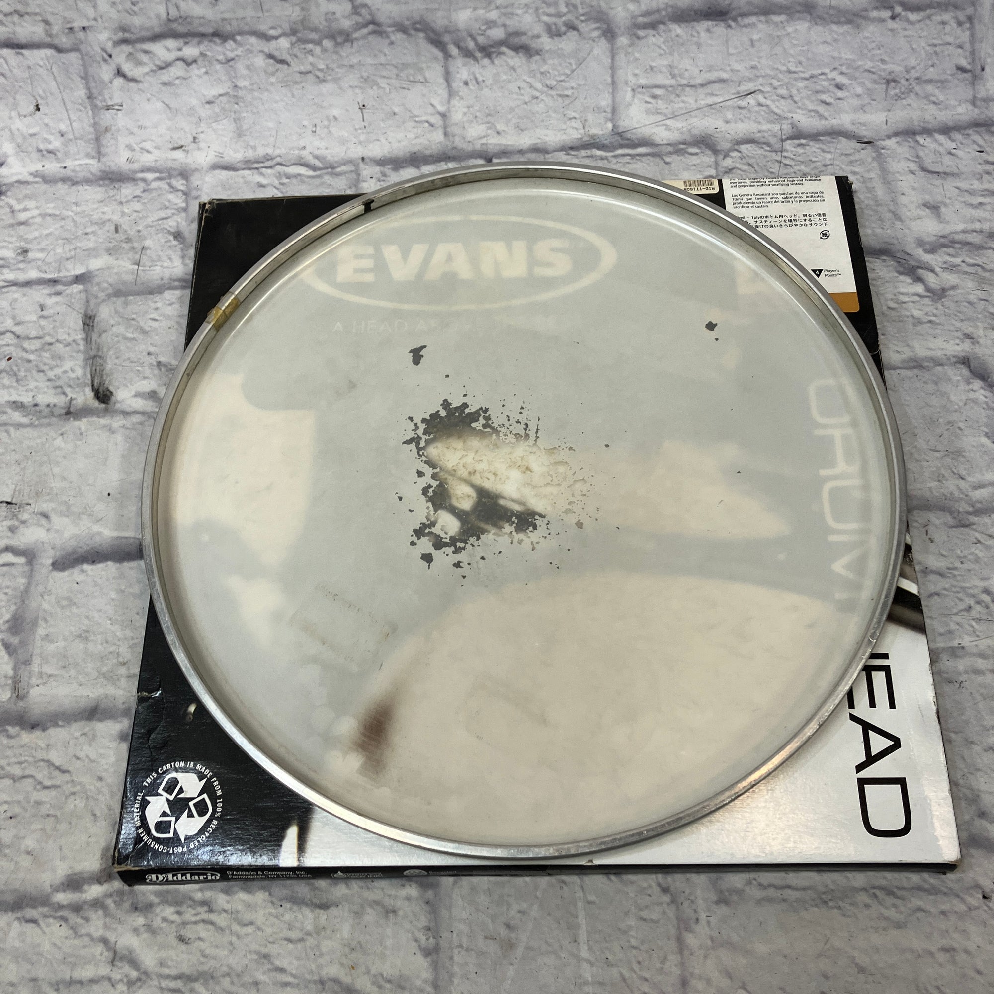 Evans 16 Inch Drum Head With Box Drum Head