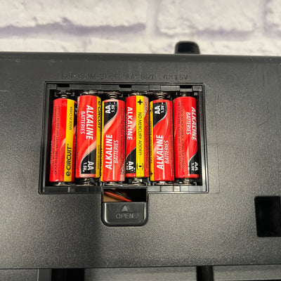 Casio LK-220 61-Key Electronic Keyboard with Lighted Keys