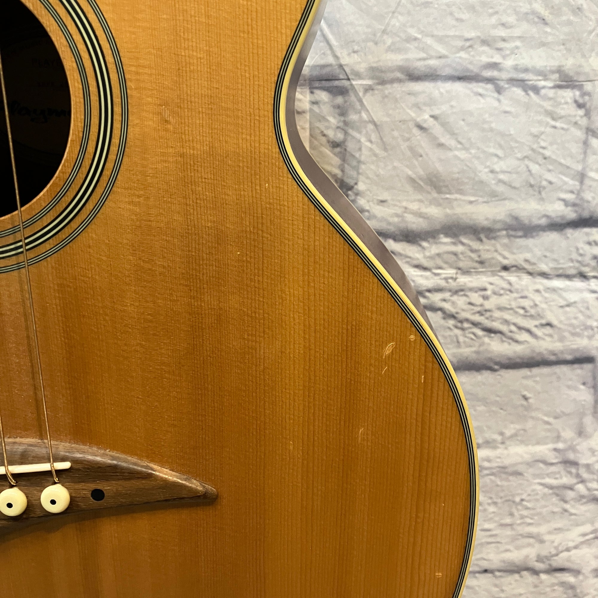 Playmate PLAYEAB Acoustic Bass Guitar