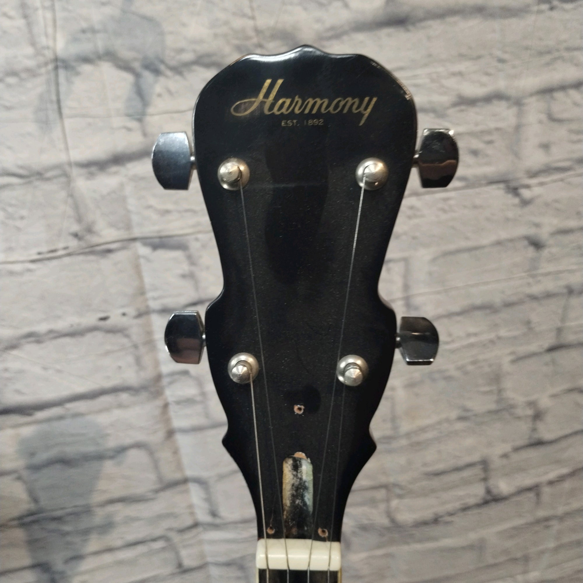 Harmony H409 Banjo