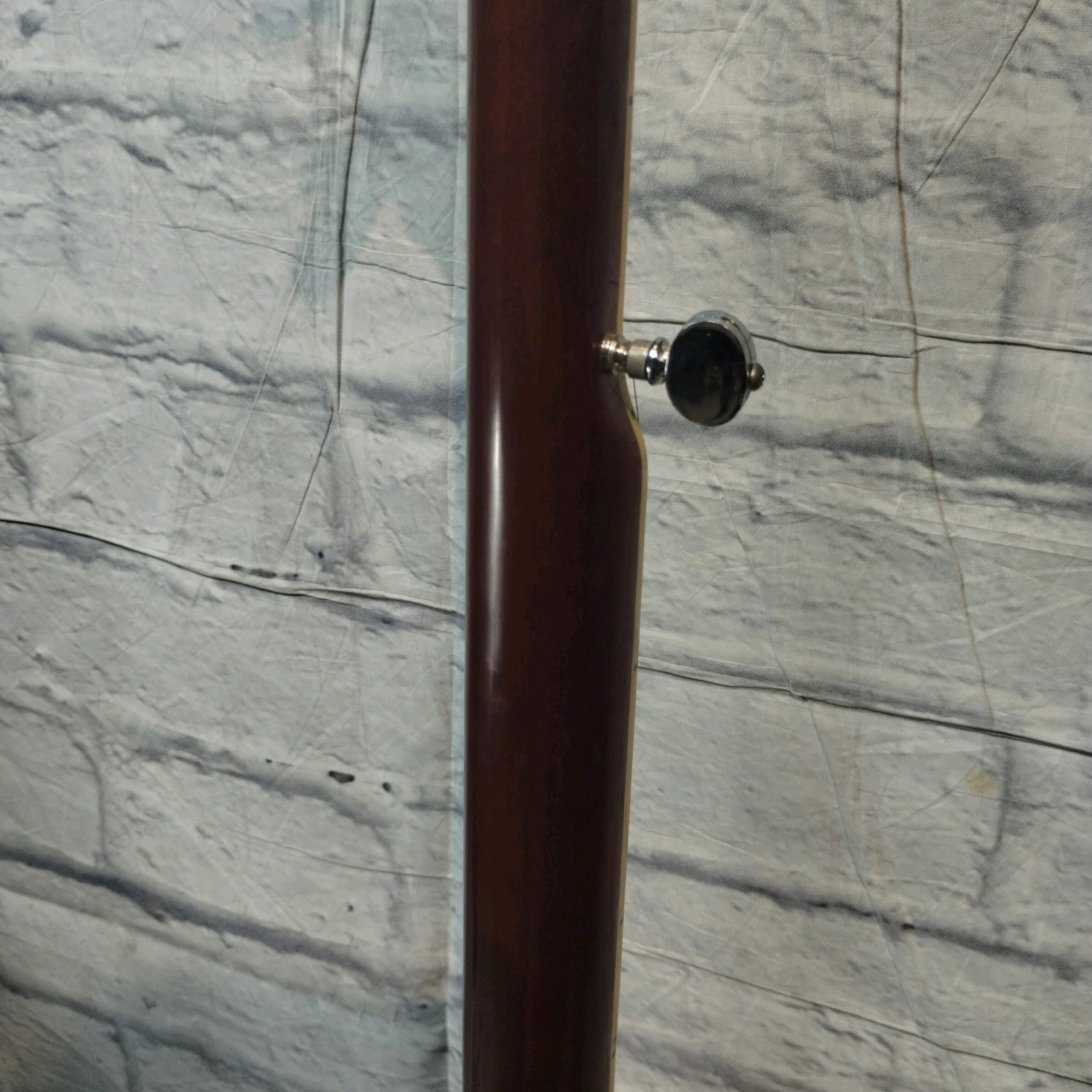Harmony H409 Banjo