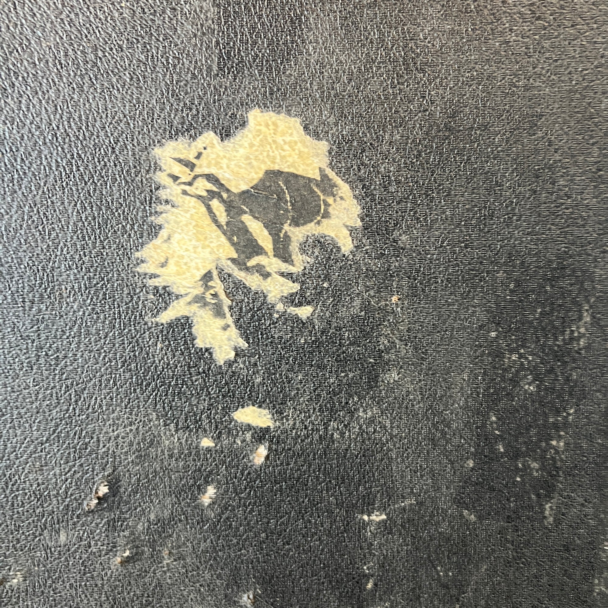 Epiphone Electric Guitar Hard Case