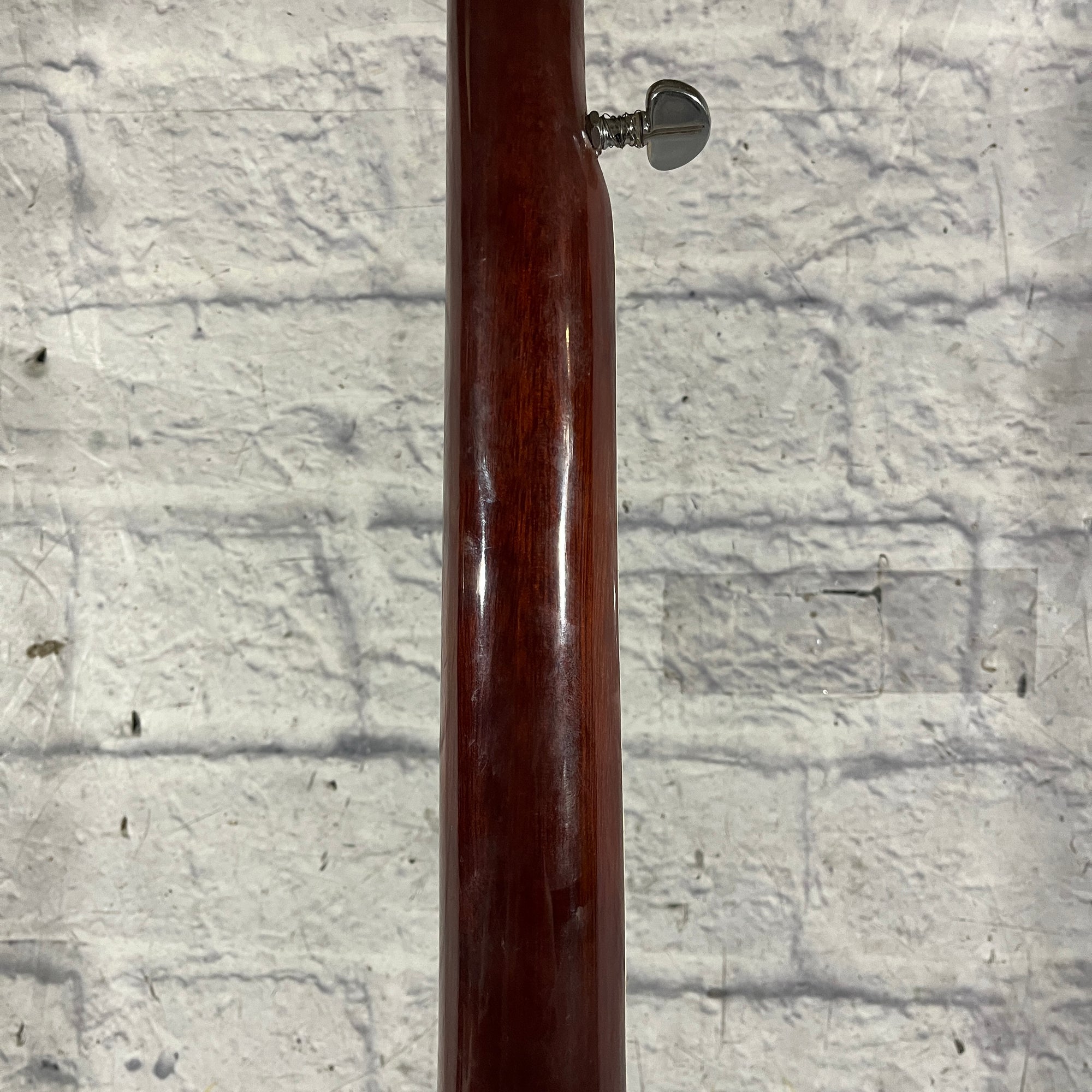 Vivi 5 String Banjo