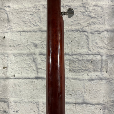 Vivi 5 String Banjo
