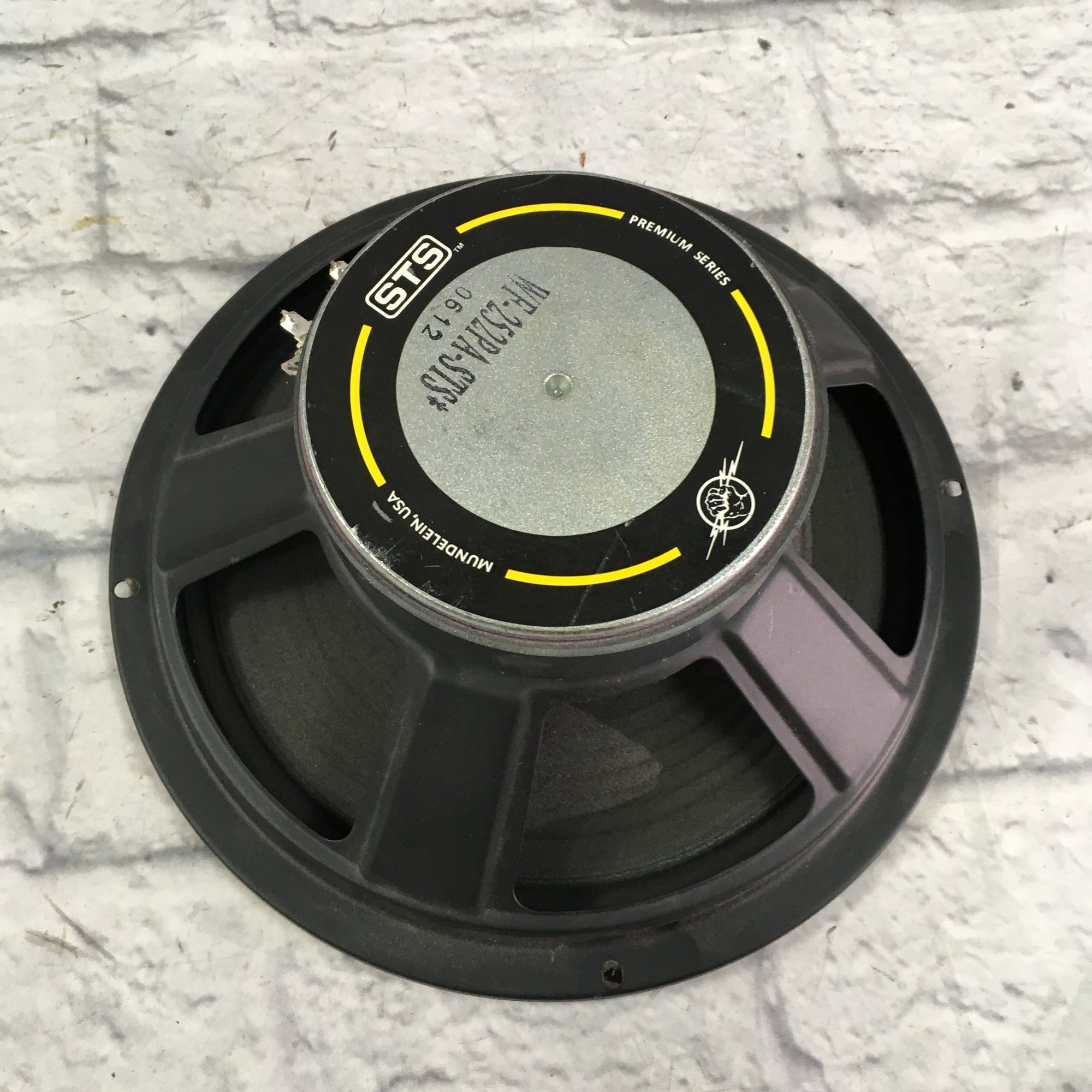 STS 10 Live Sound Speaker