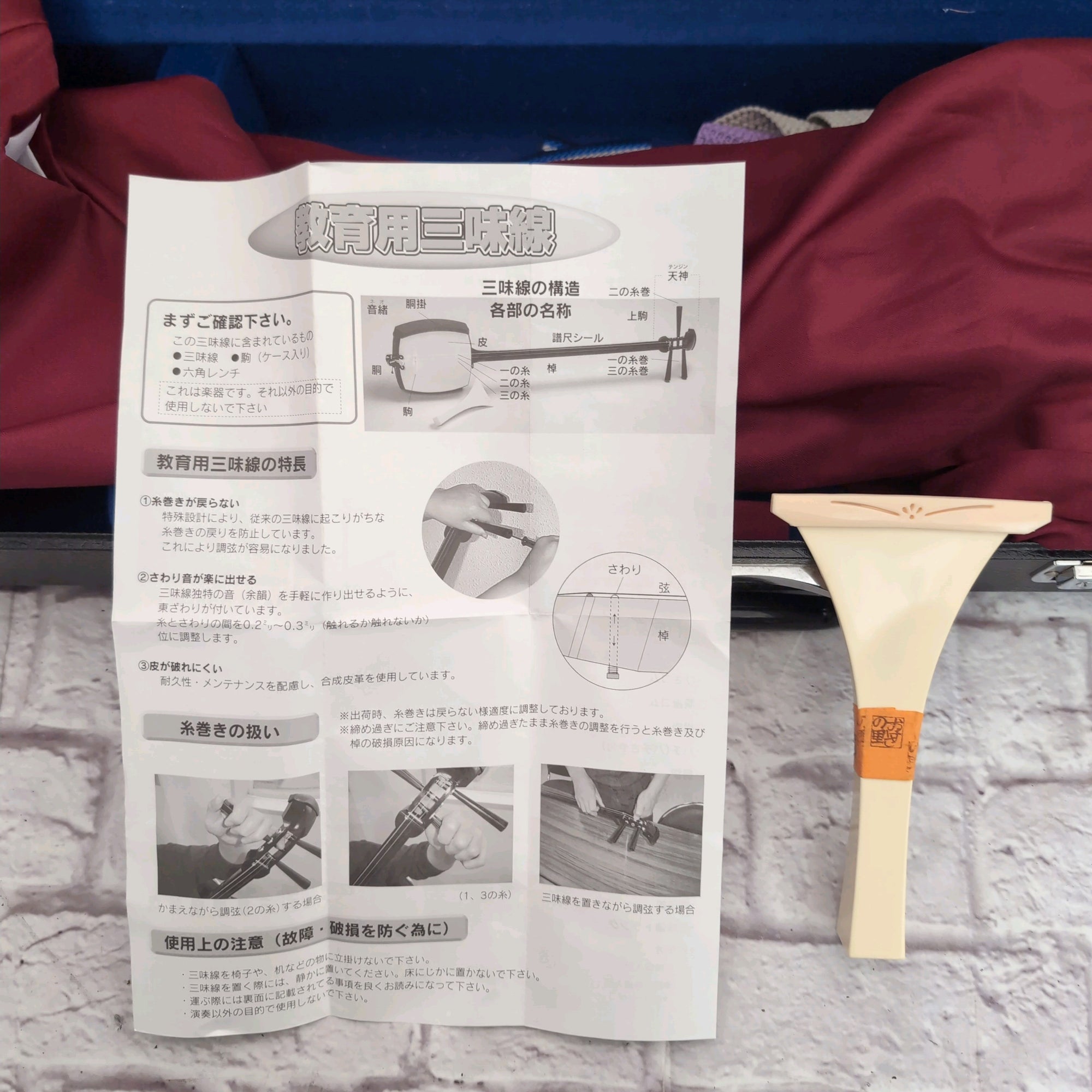 Unknown Shamisen