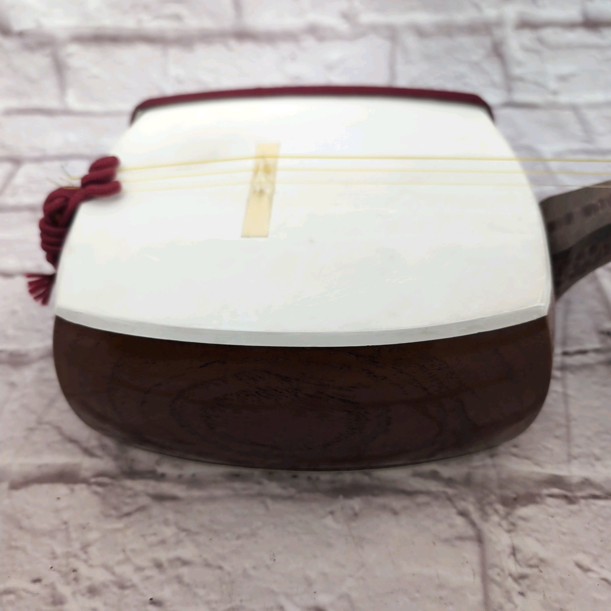 Unknown Shamisen