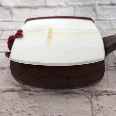 Unknown Shamisen