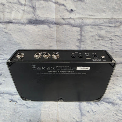 Boss DM-101 Delay Pedal