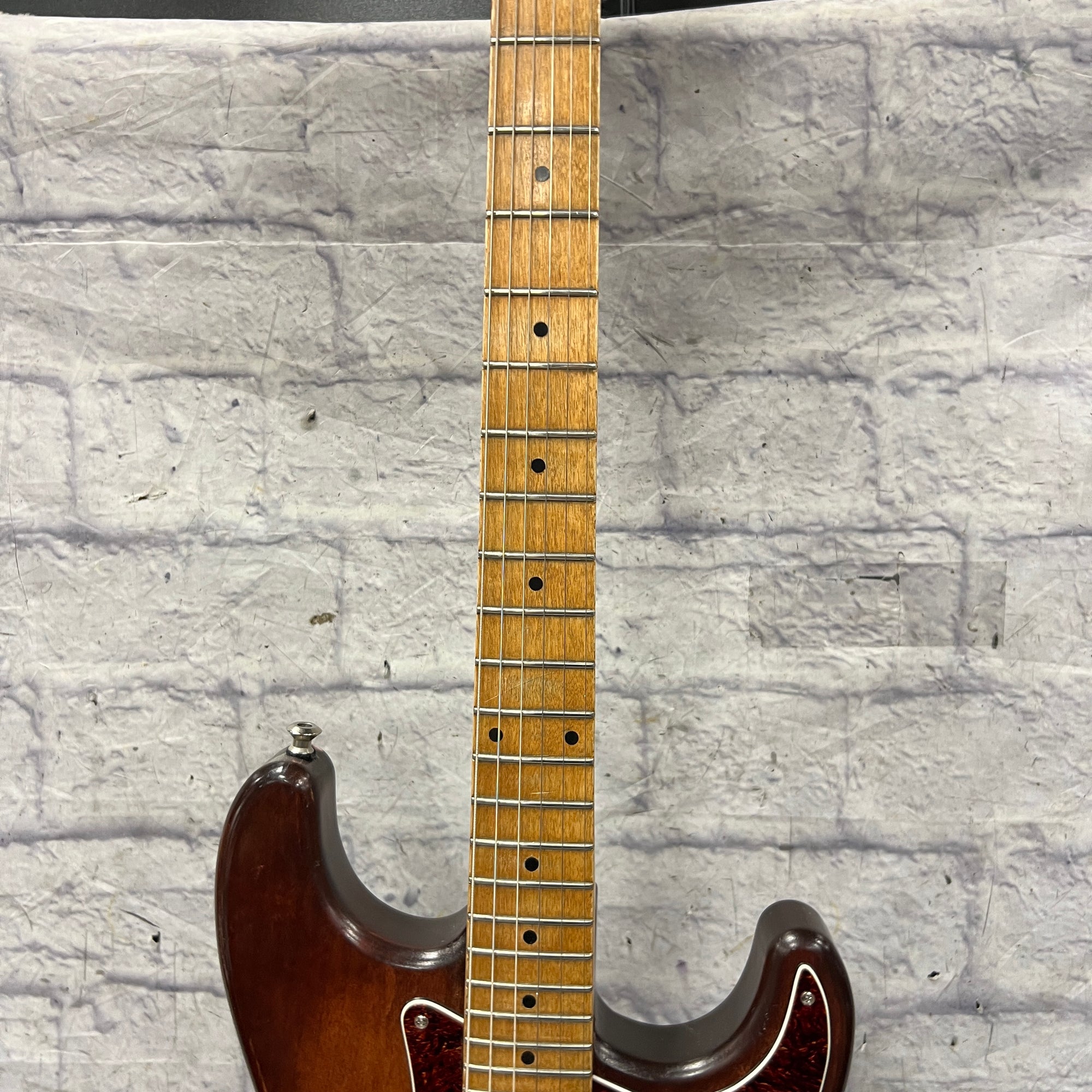 Unknown Strat Partscaster 2 Humbuckers