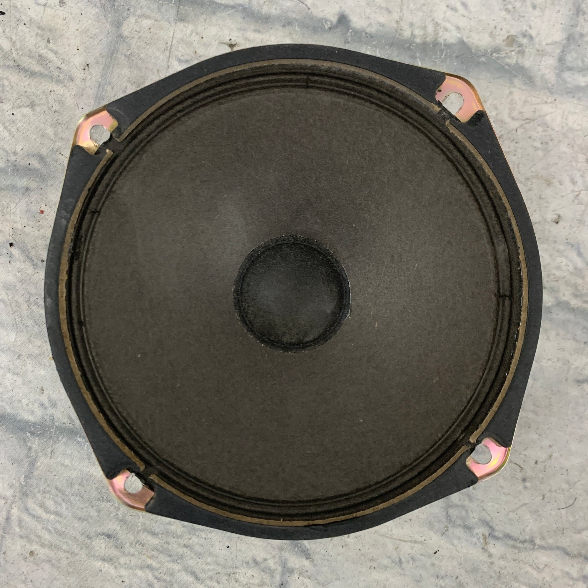 Pignose 6" Legendary Speaker
