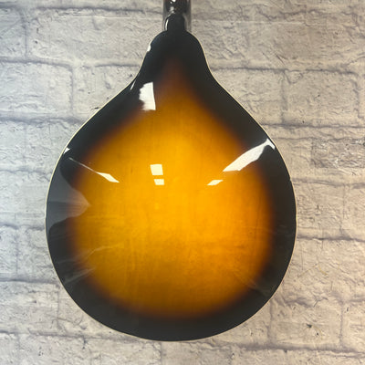 Rogue RM100A A Style Mandolin