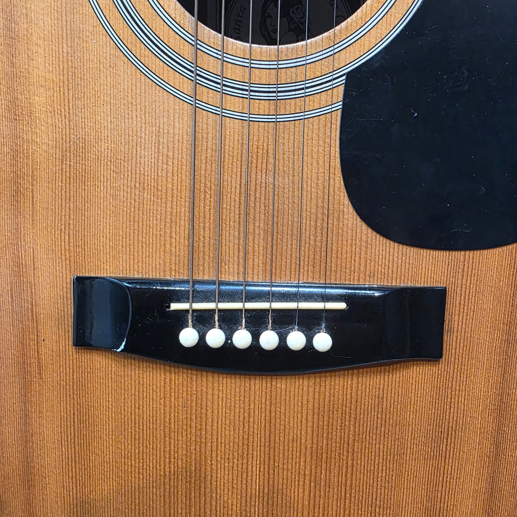 The Santa Rosa Folk Guitar Company K519 Dreadnaught  Acoustic Guitar