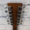 Rogue 12-String Acoustic RADH12