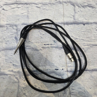 Hosa ( 10 foot) XLR To Quarter Inch Cables