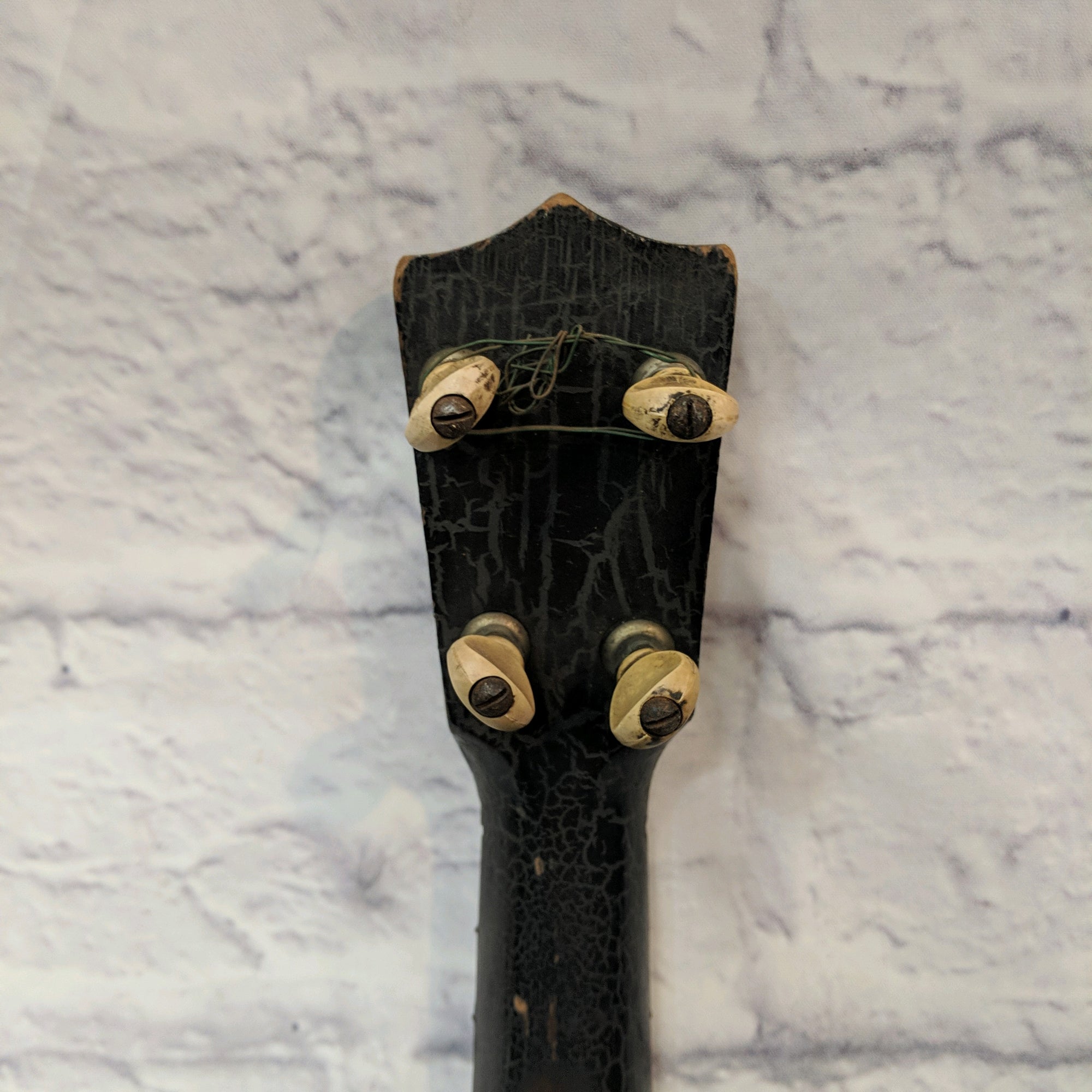 Stella Vintage Banjolele 1920s 1930s Alpha Xi Epsilon