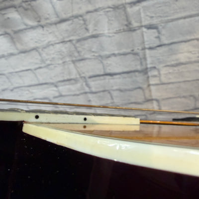 Esteban AS IS Acoustic Guitar AL-100 Acoustic Guitar