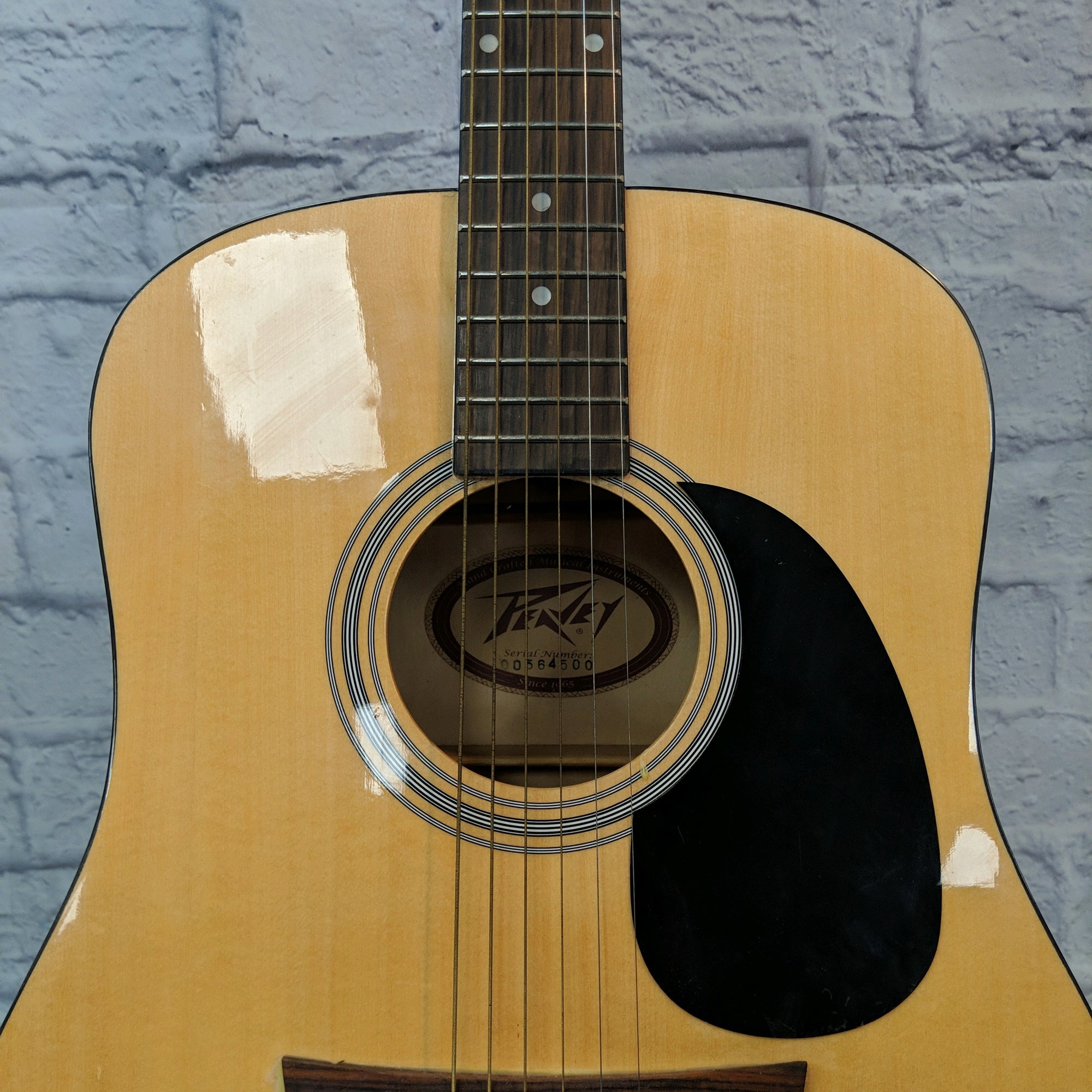 Peavey Gold Acoustic Guitar