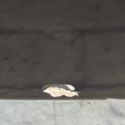 Jackson X Series Concert Bass CBXNT DX V 5 String Bass Guitar