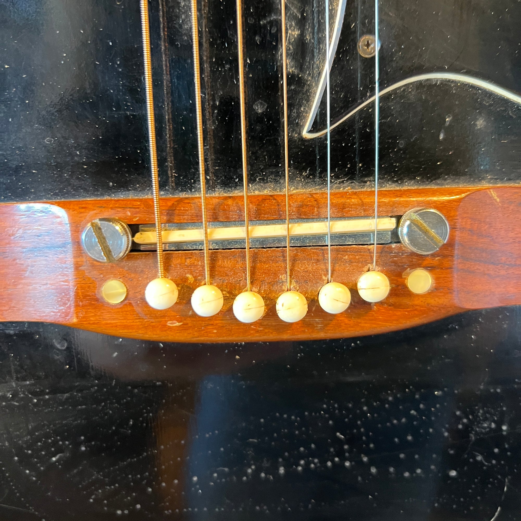 Ensenada 14 Fret Acoustic Guitar Concert Acoustic