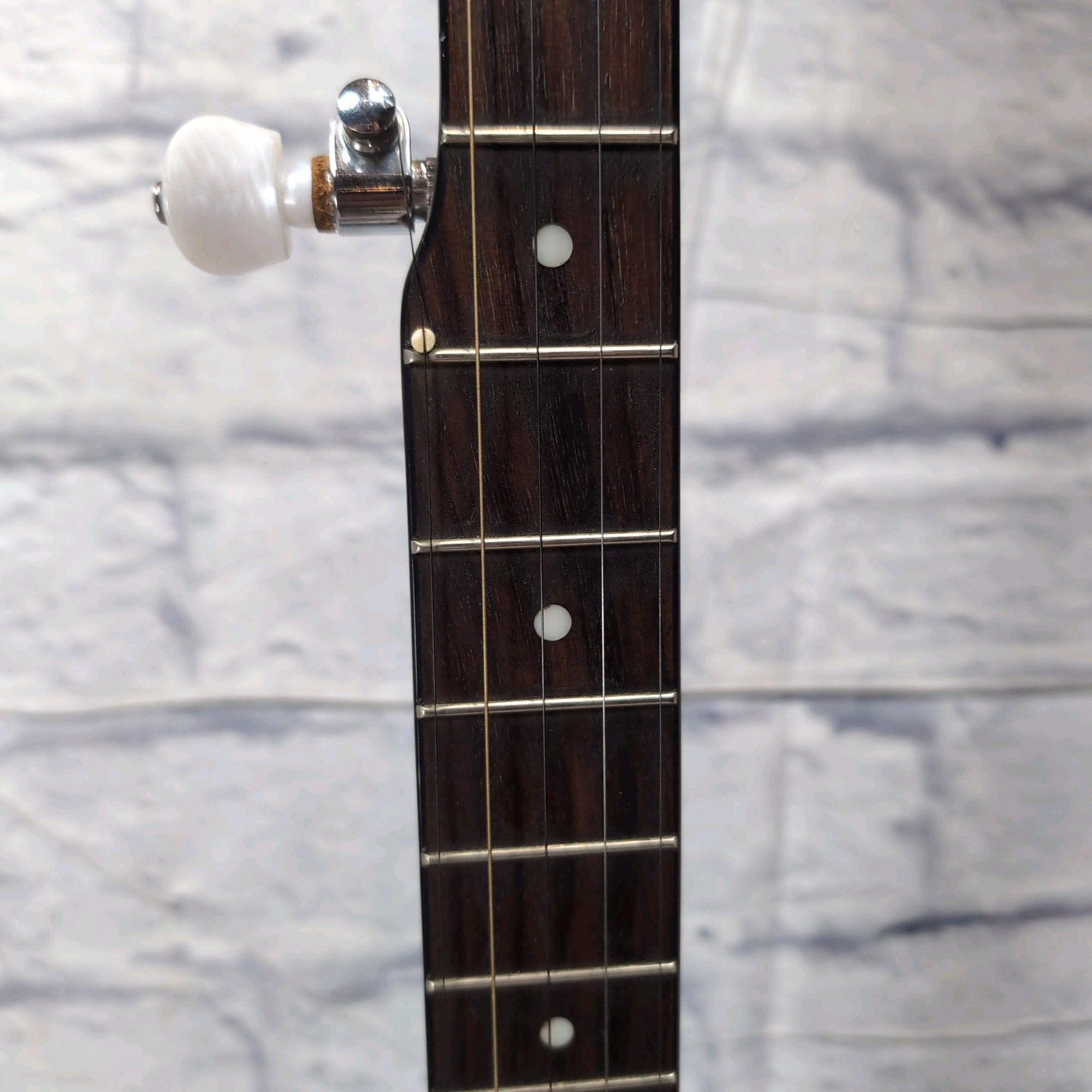 Goldtone Open Back 5 String Banjo