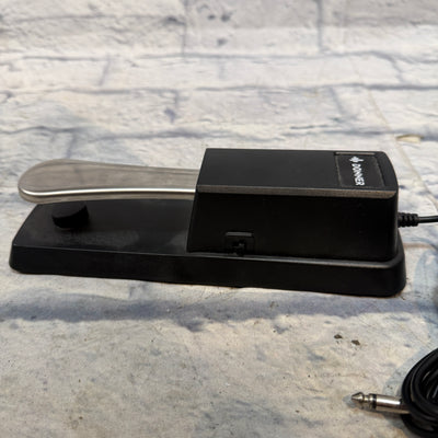 Donner Sustain Pedal