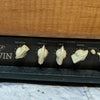 Carvin Legacy VL100 Steve Vai Amp Head