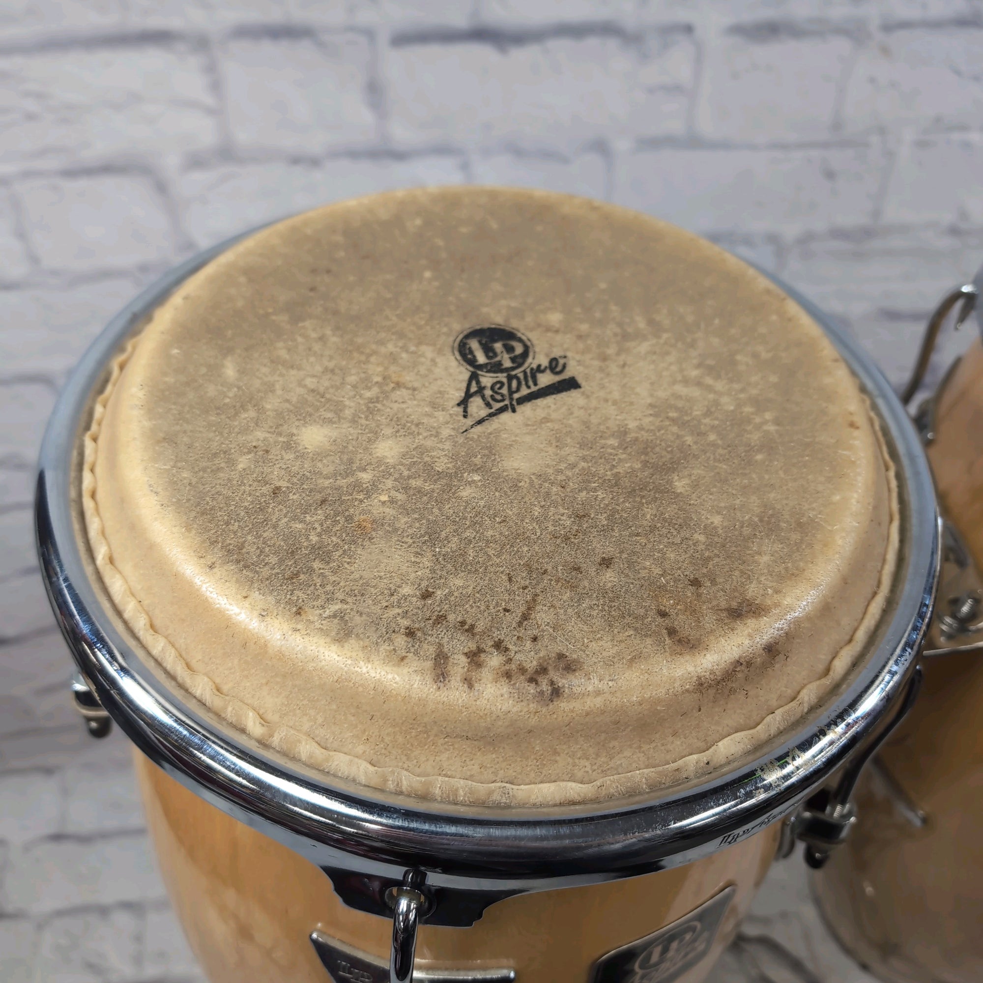 LATIN PERCUSSION LP　クイーカ　サイン入り LATIN PERCUSSION LP クイーカ サイン入り LATIN PERCUSSION LP