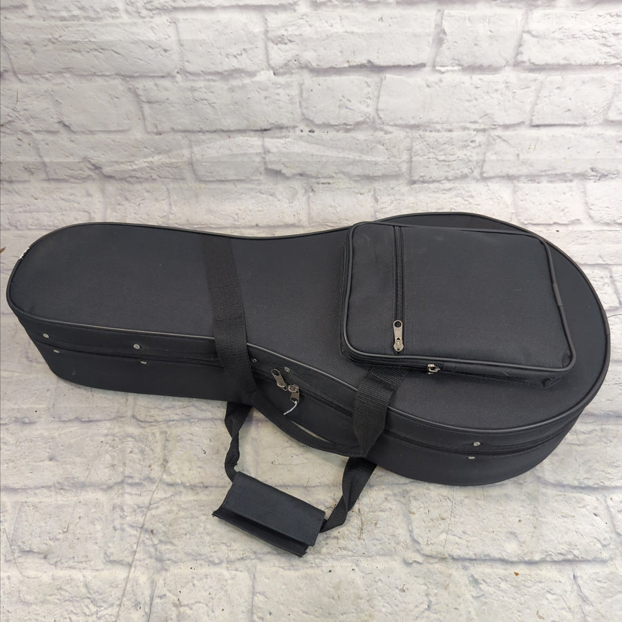 Samick Greg Bennett A Style Mandolin Case Hard Polyfoam