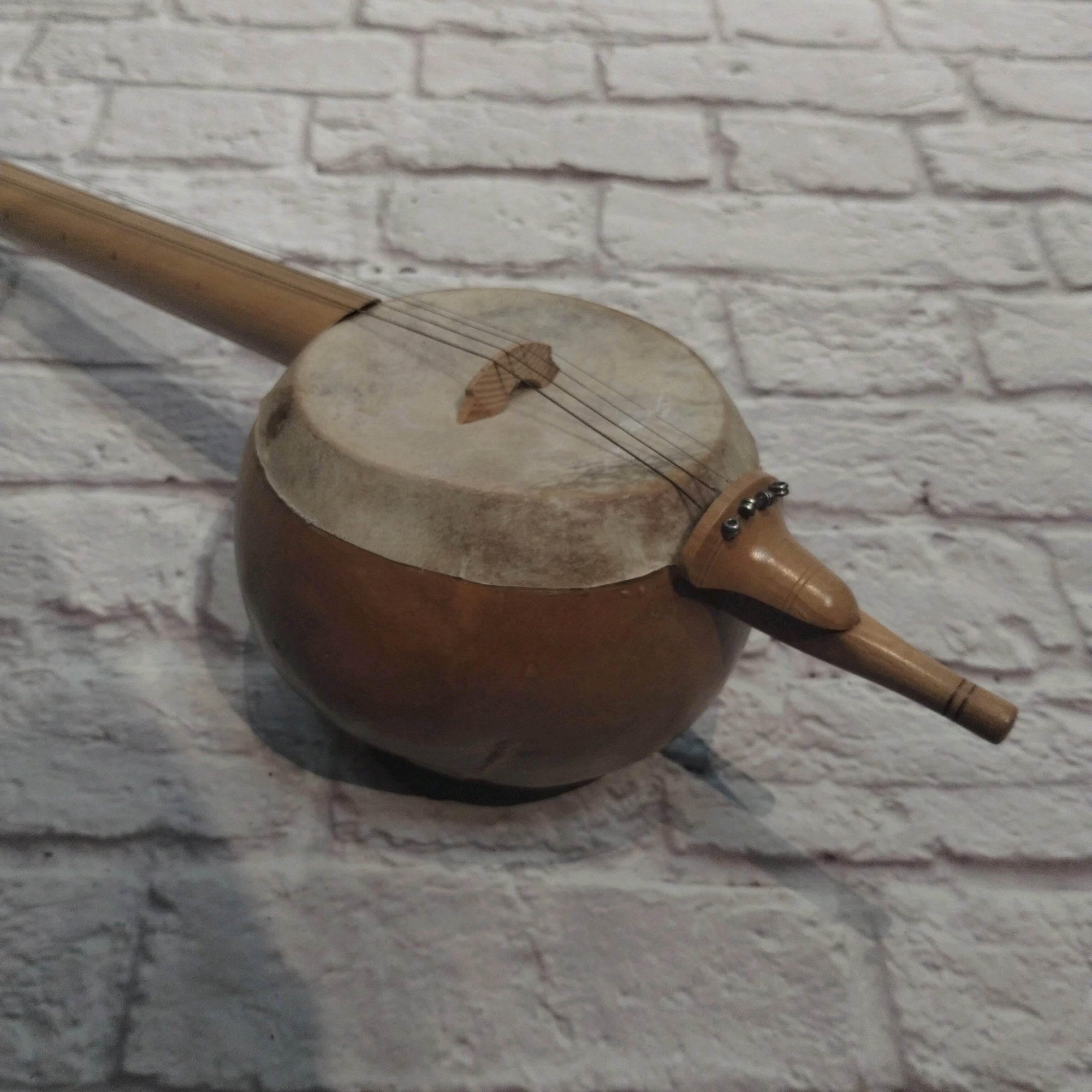 Unknown Turkish Spiked Fiddle