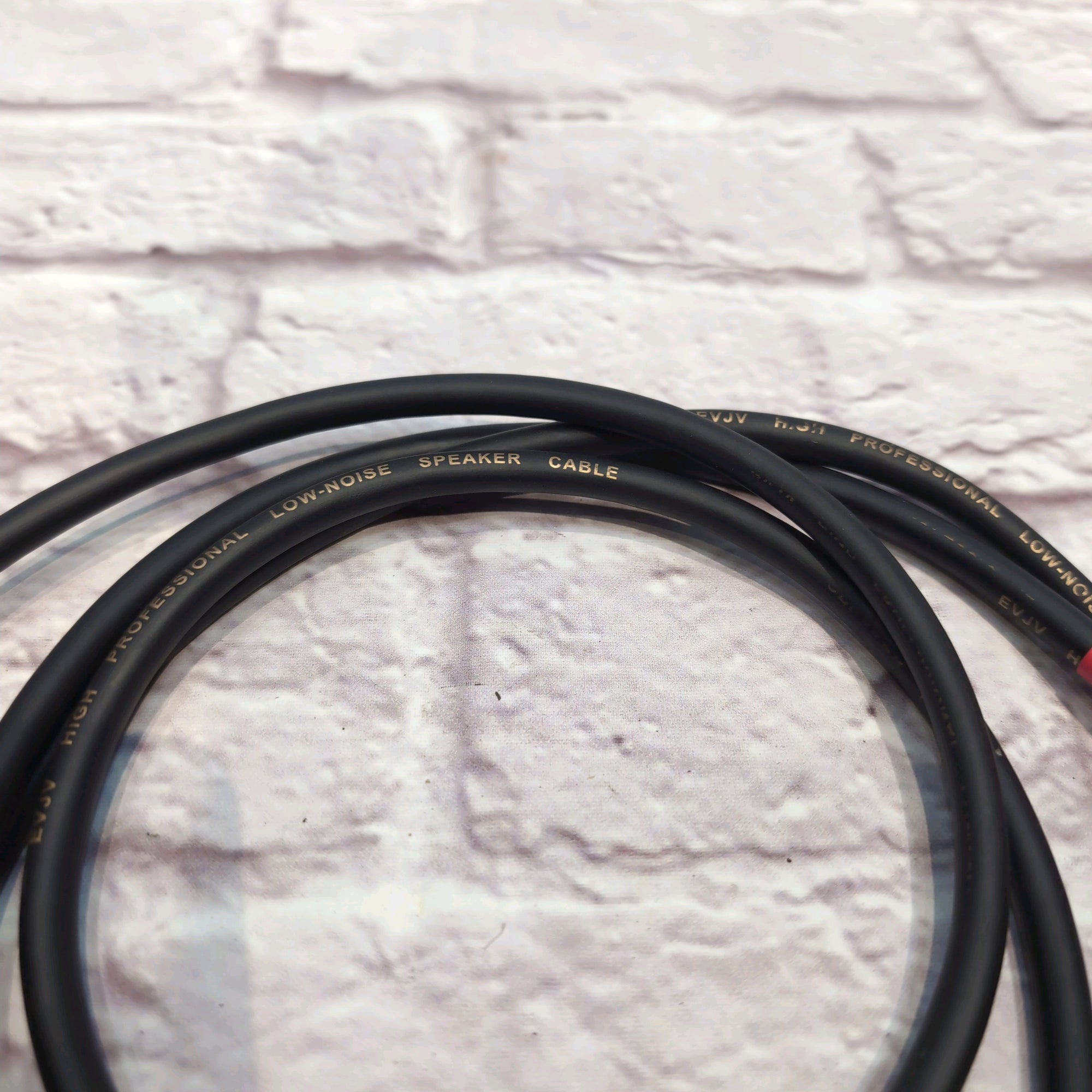 EVJV Speakon to 1/4" Speaker Cable - 6'