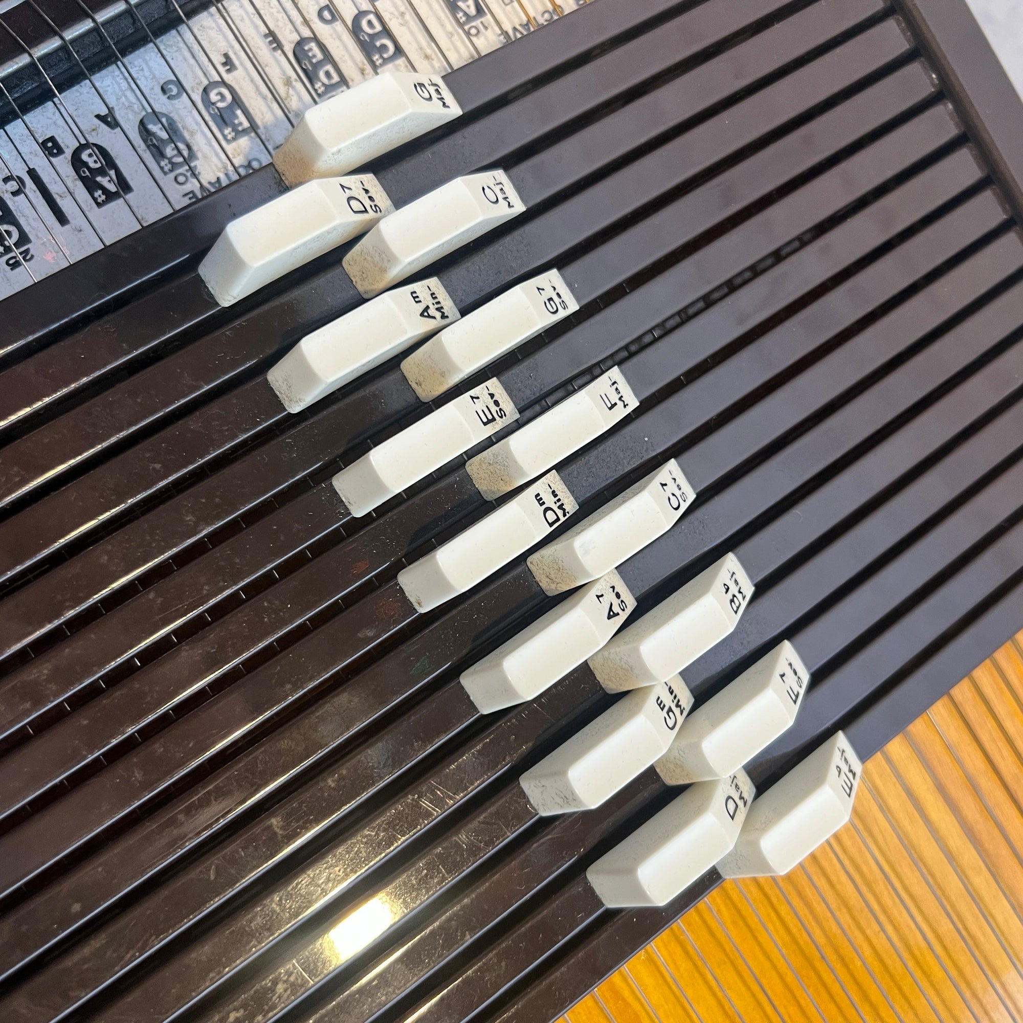 Rhythm Band Inc Chromaharp Autpharp with Case