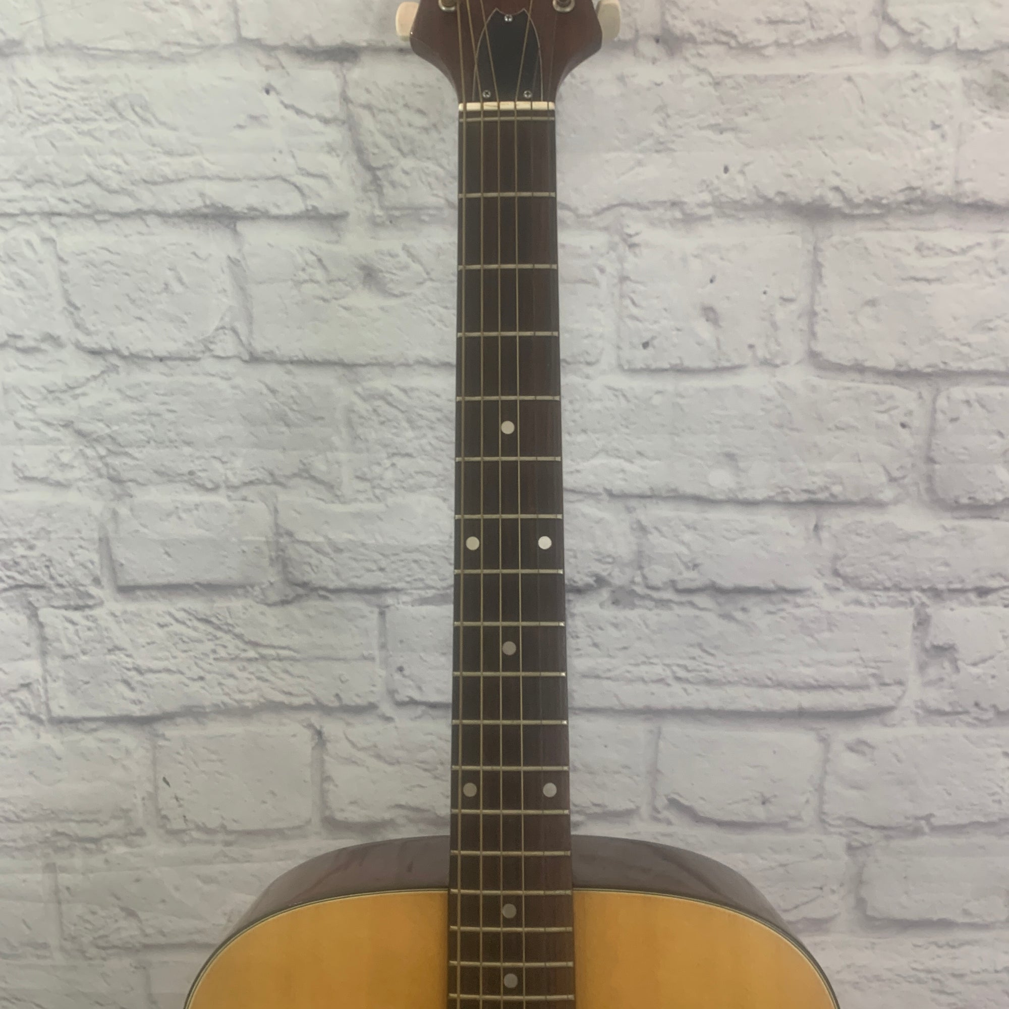 Epiphone Ft-120 Acoustic Guitar