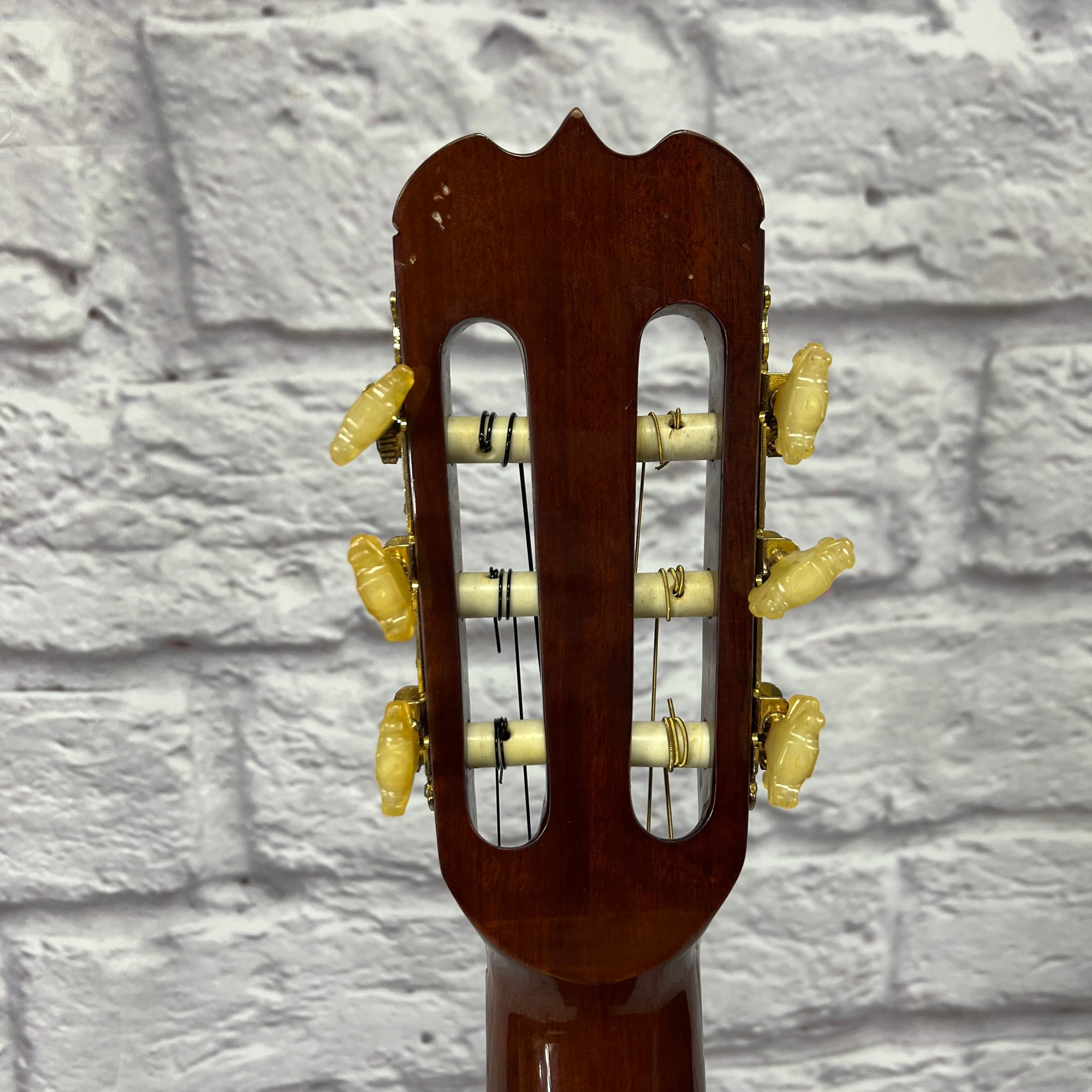 Segovia Cedar Classical Acoustic Guitar - Evolution Music